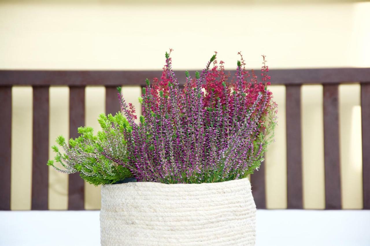 La Terrazza Di Isabel Casa de Férias *